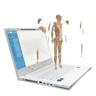 Sistema interactivo mejorado 3D de anatomía humana MR